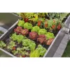 Πώμα σωλήνα Gardena 13215-20 κατάλληλο για σύστημα στάγδην άρδευσης