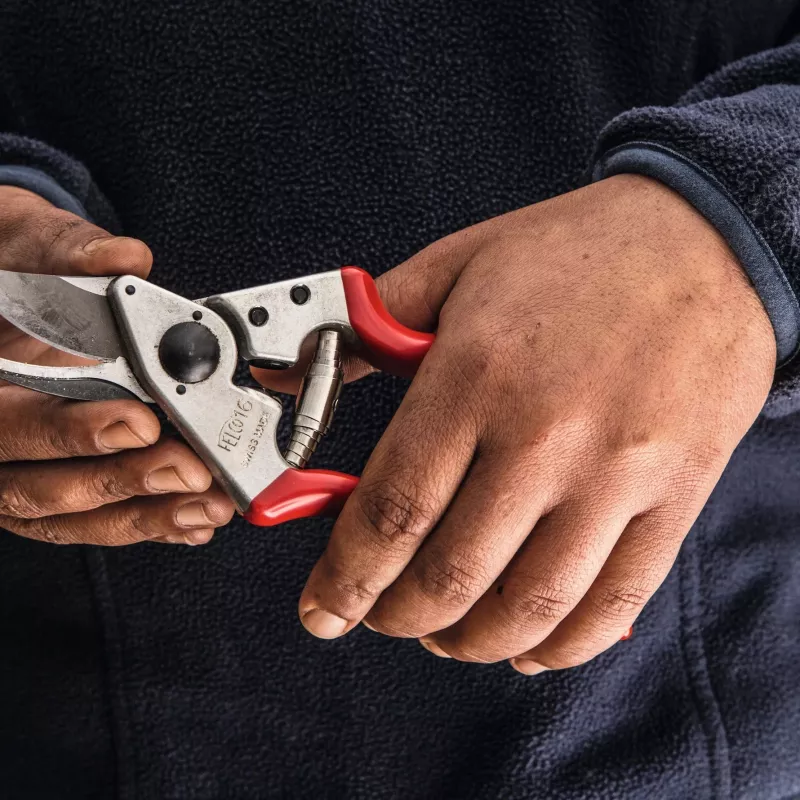 Felco | αριστερό κλαδευτήρι | FELCO 16