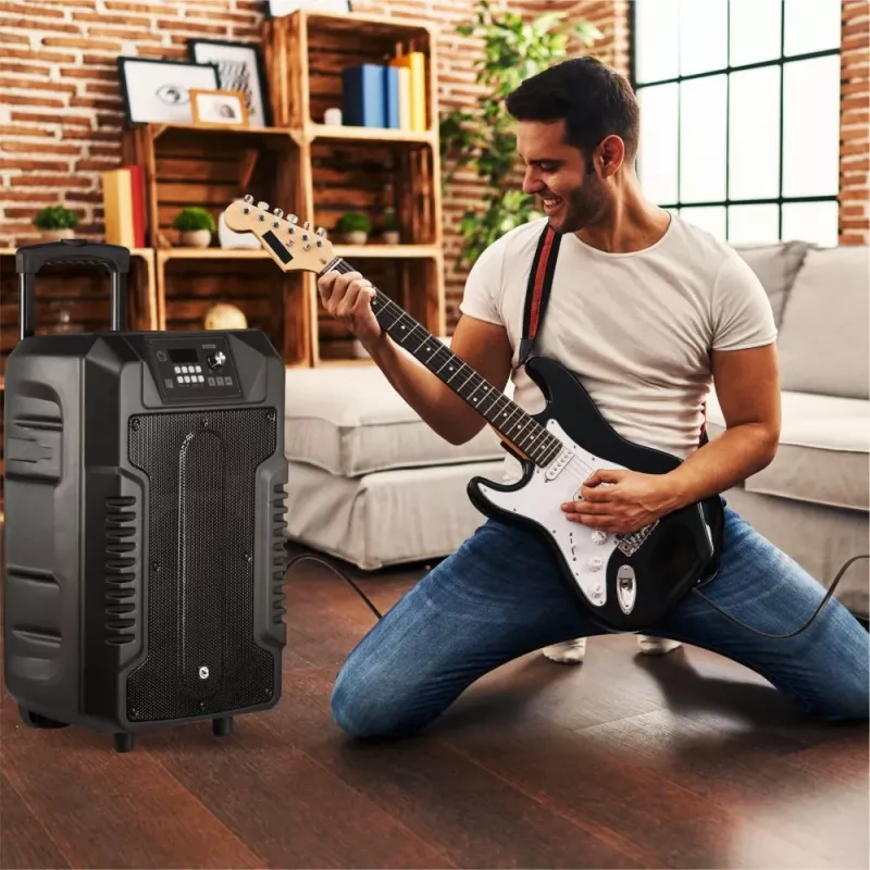 Ηχείο Manta SPK1203B100 100 W