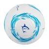 Μπάλα ποδοσφαίρου White Shark TB-001 Dribbler 32-Panel μέγεθος 5