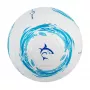 Μπάλα ποδοσφαίρου White Shark TB-001 Dribbler 32-Panel μέγεθος 5