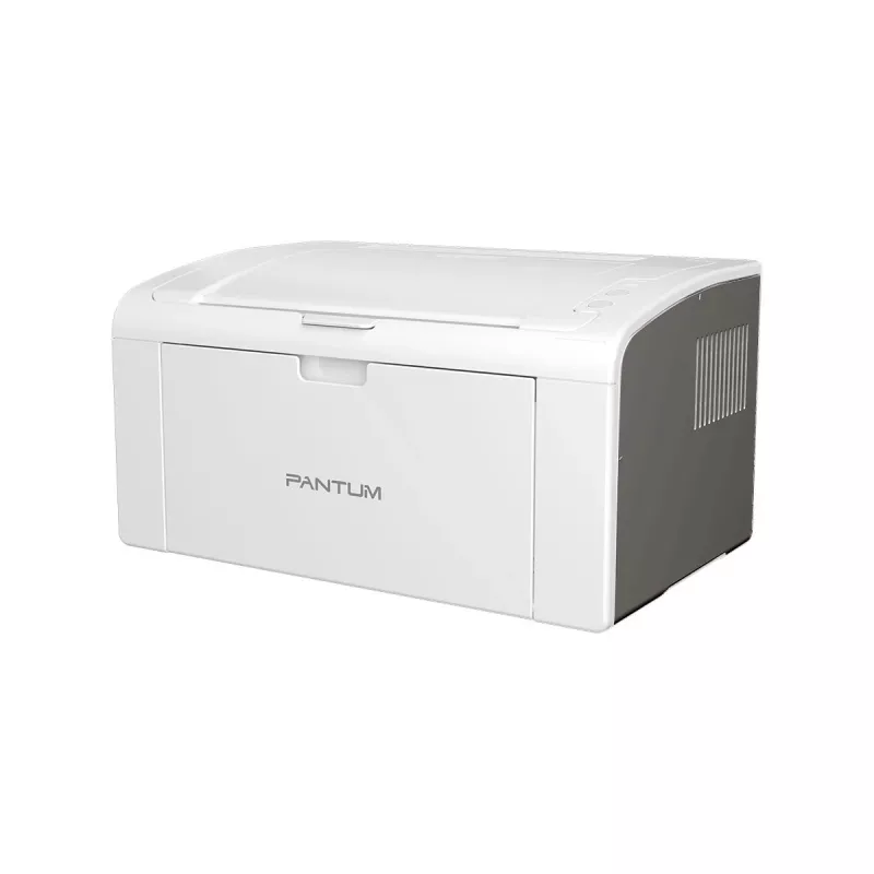 Εκτυπωτής Pantum P2509W Laser λευκό