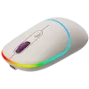 CANYON Ποντίκι MW-22 2-in-1 BT/Wireless Rice