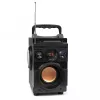 Squeak Bassblaster ηχείο Bluetooth 5.1, ραδιόφωνο FM, MP3 player SQ1001