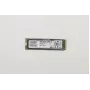 Lenovo SSD αποθήκευσης SSD PM981 PCIe (01FR510)