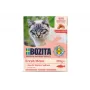 Bozita Feline σολομός