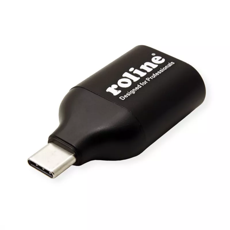 ROLINE 12.03.3228 Προσαρμογέας γραφικών USB 1920 x 1080 Pixel Μαύρο (12.03.3228)