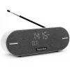 Technisat DigitRadio BT 2 ανοιχτό γκρι (0001/3973)