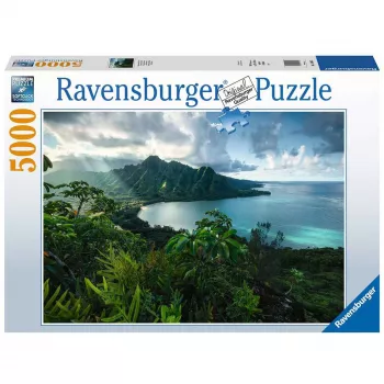 Παζλ περιγράμματος Ravensburger 16106 5000 τεμ. Flora