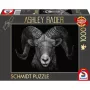 Ashley Rader: Dominance - Widder, Im Zeichen des Feuers, Παζλ 1000 τεμ.