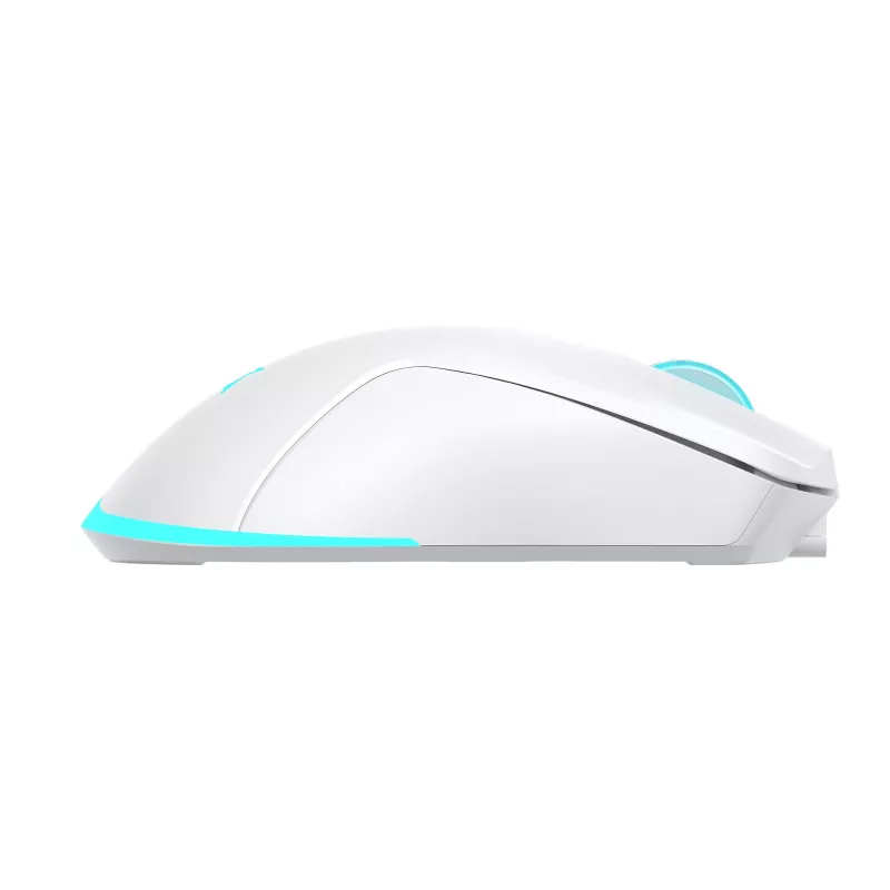 Ποντίκι Baracuda BGM-122 Turtle λευκό TURTLE-W