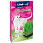 Σετ γρασιδιού για γάτες Vitakraft 120 g – βρώσιμο σετ γρασιδιού για γάτες, χωρίς γλουτένη, χωρίς συντηρητικά