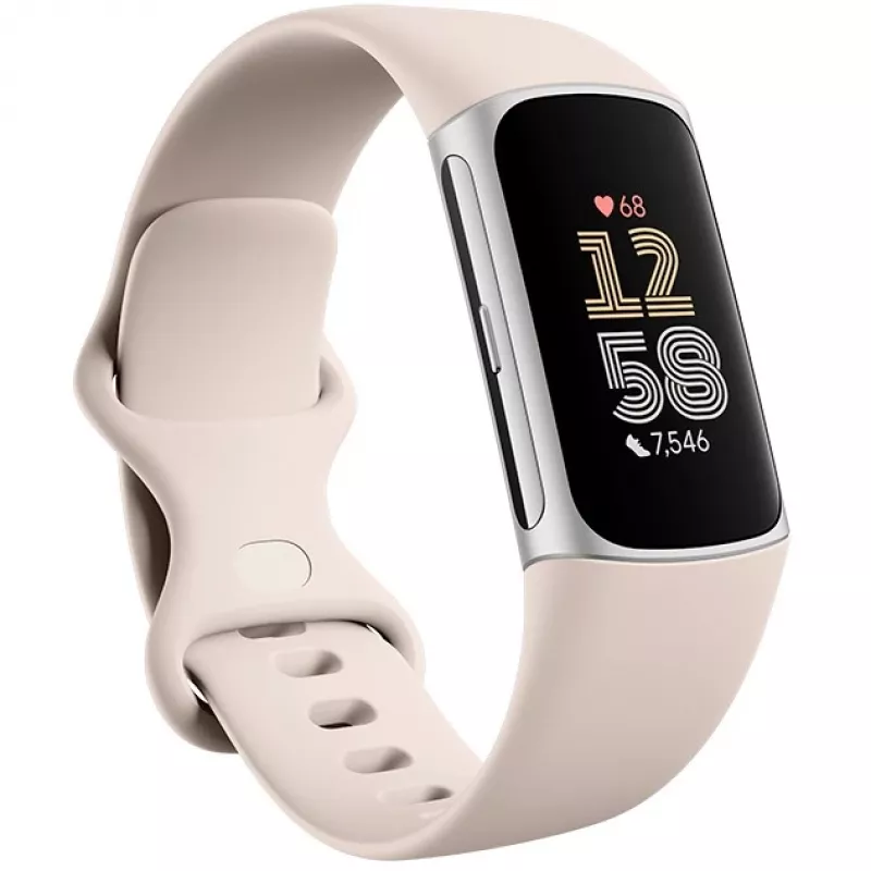 Fitbit GA05185-EU Προϊόν Ασημί