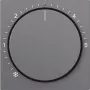 Gira Πλάκα κάλυψης Ανθρακί 270228 (270228)
