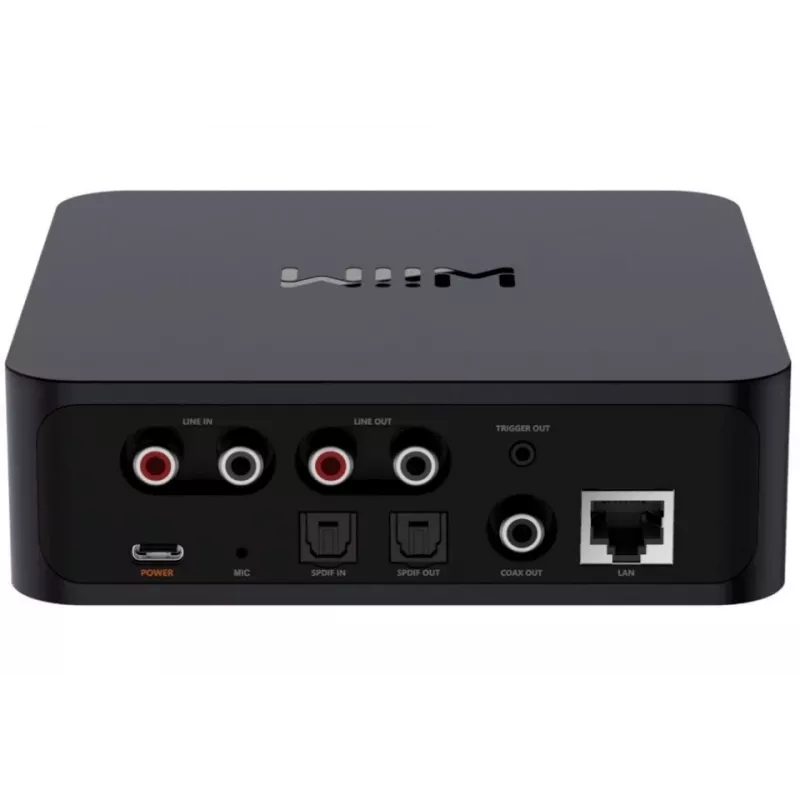 WiiM Pro Plus – Network Player