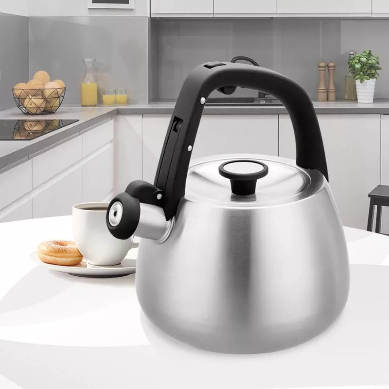 Βραστήρας Maestro MR-1318 2,5 l ασημί, μαύρο