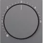 Gira Πλάκα κάλυψης Ανθρακί 270628 (270628)