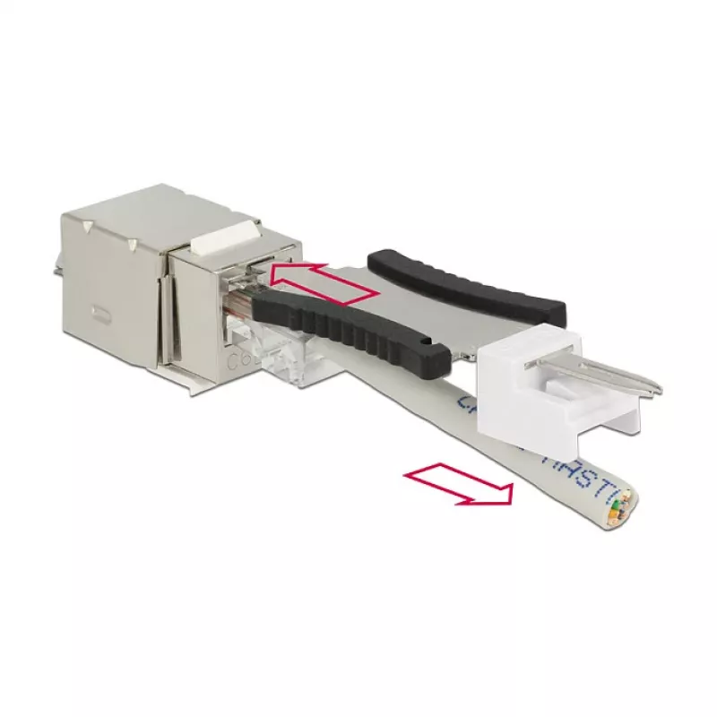 Delock 86404 Keystone-Module RJ45 Secure Cat.6 σε LSA, Λευκό