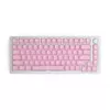 Glorious PC Gaming Race GMMK ABS Doubleshot V2 UK Βασικό σετ - ροζ (GLO-KC-ABS-UKKIT-P)