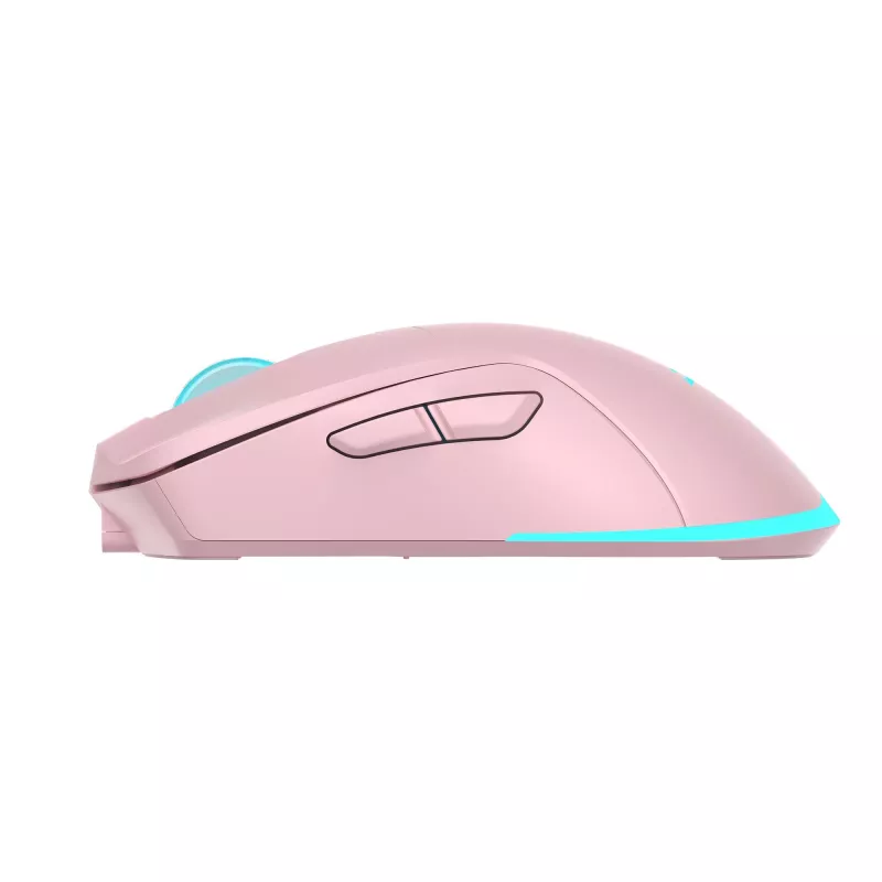 Ποντίκι Baracuda BGM-124 Turtle ροζ TURTLE-P