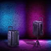Ηχείο Manta SPK1203B100 100 W