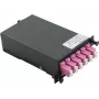 MPO-Modules, MPO ST/12x LC BU - VALUE MPO-Modul (21.99.1107)