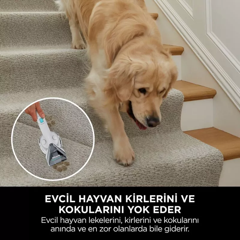 Sharkclean PX200EUT Συσκευή καθαρισμού χαλιών Handheld Βαθύς/Ενδιάμεσος καθαρισμός Λευκό