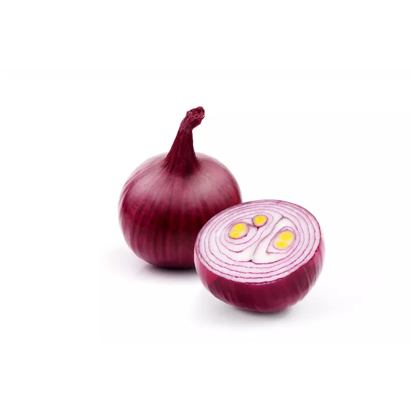 Σπόροι λαχανικών Onion Karmen Toraf, Συσκευασία 3g