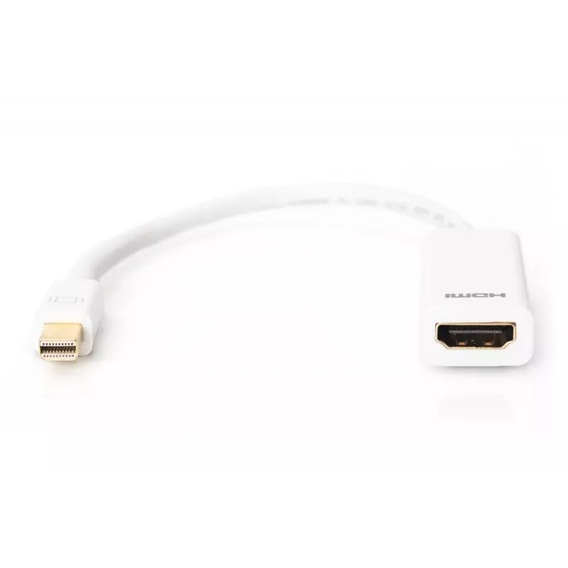 Προσαρμογέας DisplayPort Digitus AK-340404-001-W