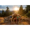 Ruffwear Front Range XS μπλε πολυεστέρας