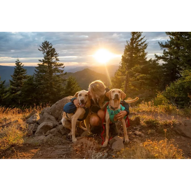 Ruffwear Front Range XS μπλε πολυεστέρας
