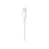 Apple καλώδιο USB-C σε Lightning (1 m)