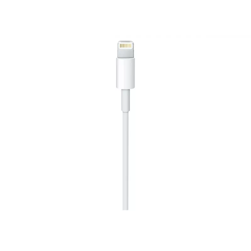 Apple καλώδιο USB-C σε Lightning (1 m)
