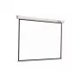 Reflecta CrystalLine Rollo Οθόνη προβολής 1:1 196x196 cm