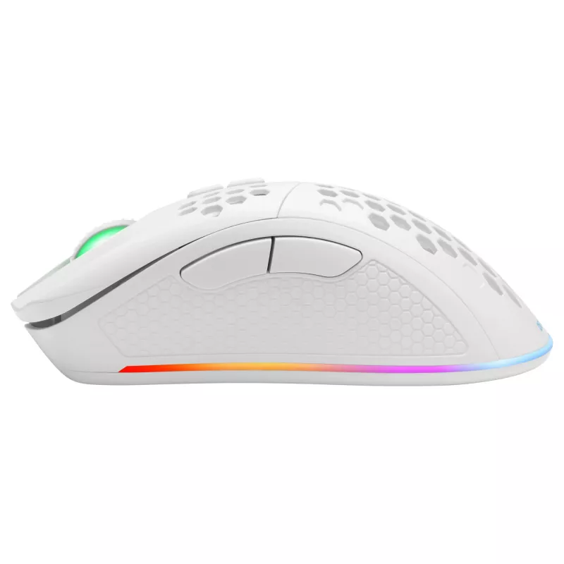Gaming ποντίκι Deltaco GAM-120-W RF Wireless USB Type-C