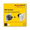 Πρίζα 2 x USB + CEE 7/3 DeLOCK 11473