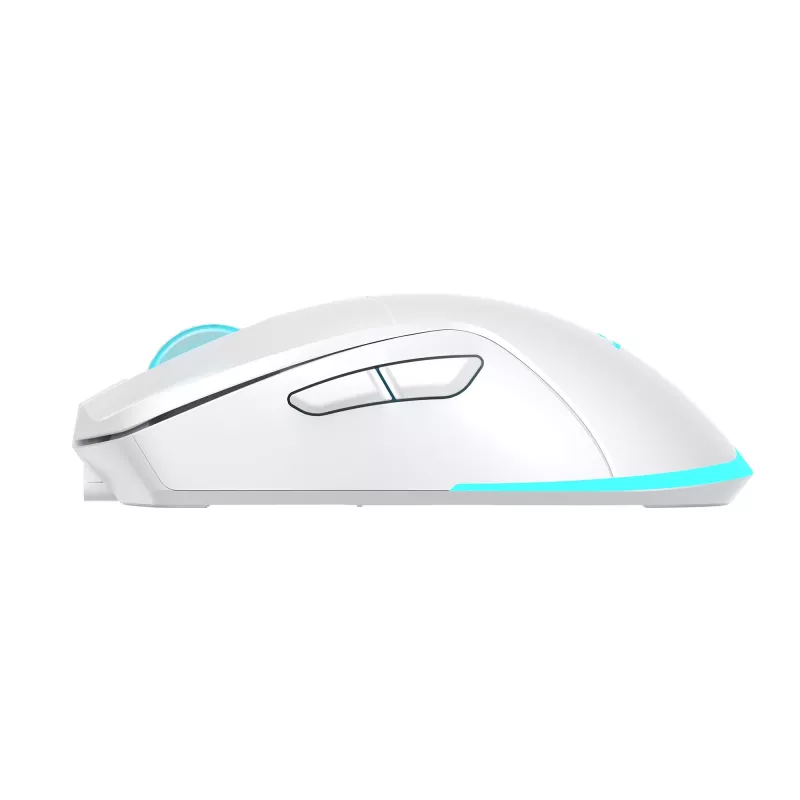 Ποντίκι Baracuda BGM-122 Turtle λευκό TURTLE-W