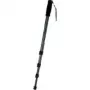 WALSER Walimex Pro WT-1003 Basic - Μονόποδο (Monopod) (1012120)