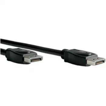 ROLINE - Καλώδιο DisplayPort - DisplayPort αρσενικό (M) σε DisplayPort αρσενικό (M) - 2 m - Μαύρο (11.04.5762)