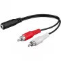 Wentronic Goobay Καλώδιο προσαρμογέα 3,5mm jack/RCA, Μαύρο, 0,2 m - υποδοχή θηλυκή jack 3,5 mm (3 ακίδων, στερεοφωνικό) > 2x βύσματα αρσενικό RCA (Ήχος αριστερά/δεξιά) (50092)