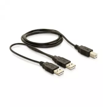 Καλώδιο DELOCK USB 2.0 B -> USB-A Power + Power/Data