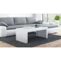 Cama TESS120 BI/BI τραπεζάκι σαλονιού / βοηθητικό τραπεζάκι / γωνιακό τραπέζι τραπεζάκι σαλονιού ορθογώνιο σχήμα 2 πόδια