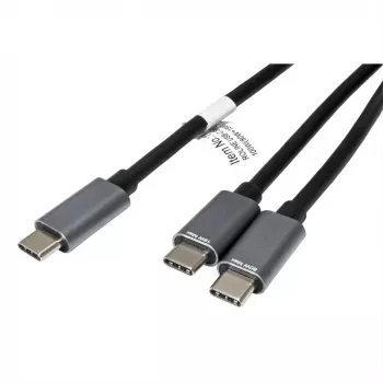 ROLINE - καλώδιο USB - 24-pol USB-C (M) σε 24-pol USB-C (M) - USB 2.0 - 1,85 m - τροφοδοσία USB (100 W) - μαύρο (11.02.8308)