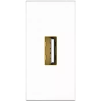Kindermann Konnect flex 45 click - Αρθρωτό Faceplate-Snap-In - USB 2.0 Type A - Λευκό, RAL 9010