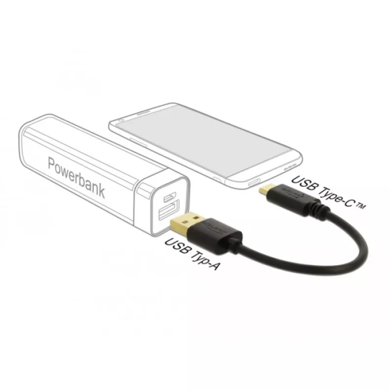 Καλώδιο φόρτισης USB DeLOCK 80954 Type-A σε USB Type-C 3 A 15 cm