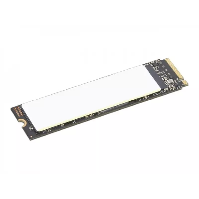 Lenovo 4XB1M86955 εσωτερικός Solid-State-Drive 1 TB M.2 PCI Express 4.0 NVMe