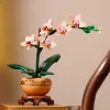 LEGO ICONS 10343 The Botanical Collection - Μίνι Ορχιδέα