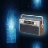 Φορητό ραδιόφωνο MANTA RDI917PRO με Bluetooth και αναπαραγωγή USB