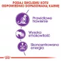 Royal Canin Sensible 33 ξηρά τροφή για γάτες, 2 kg