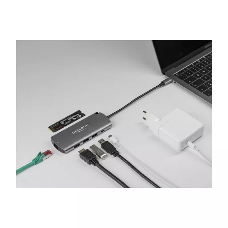 Σταθμός σύνδεσης DeLOCK USB Type-C με υποδοχή M.2